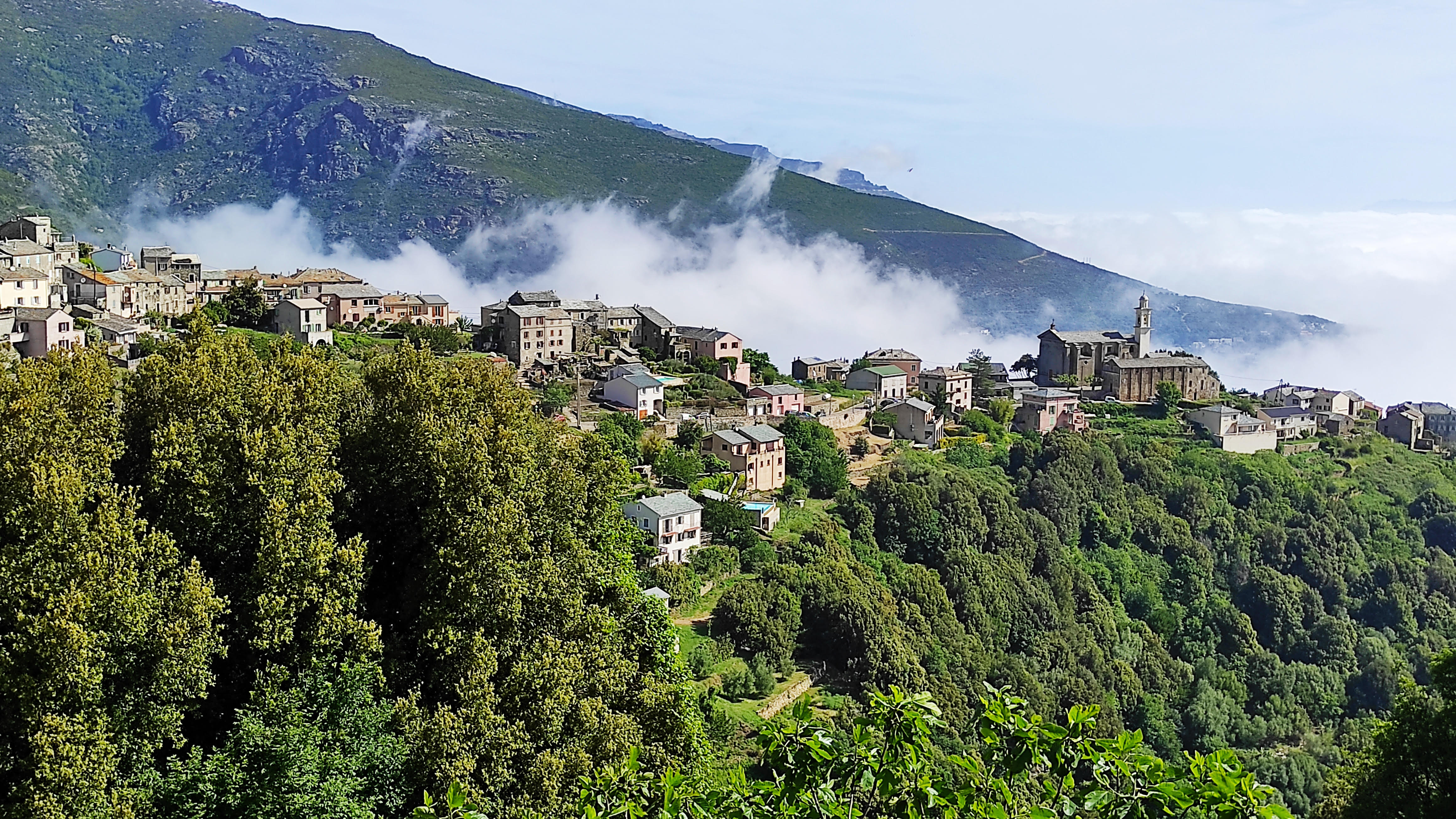 San Martinu di Lota (Photo Mathieu Mariotti)