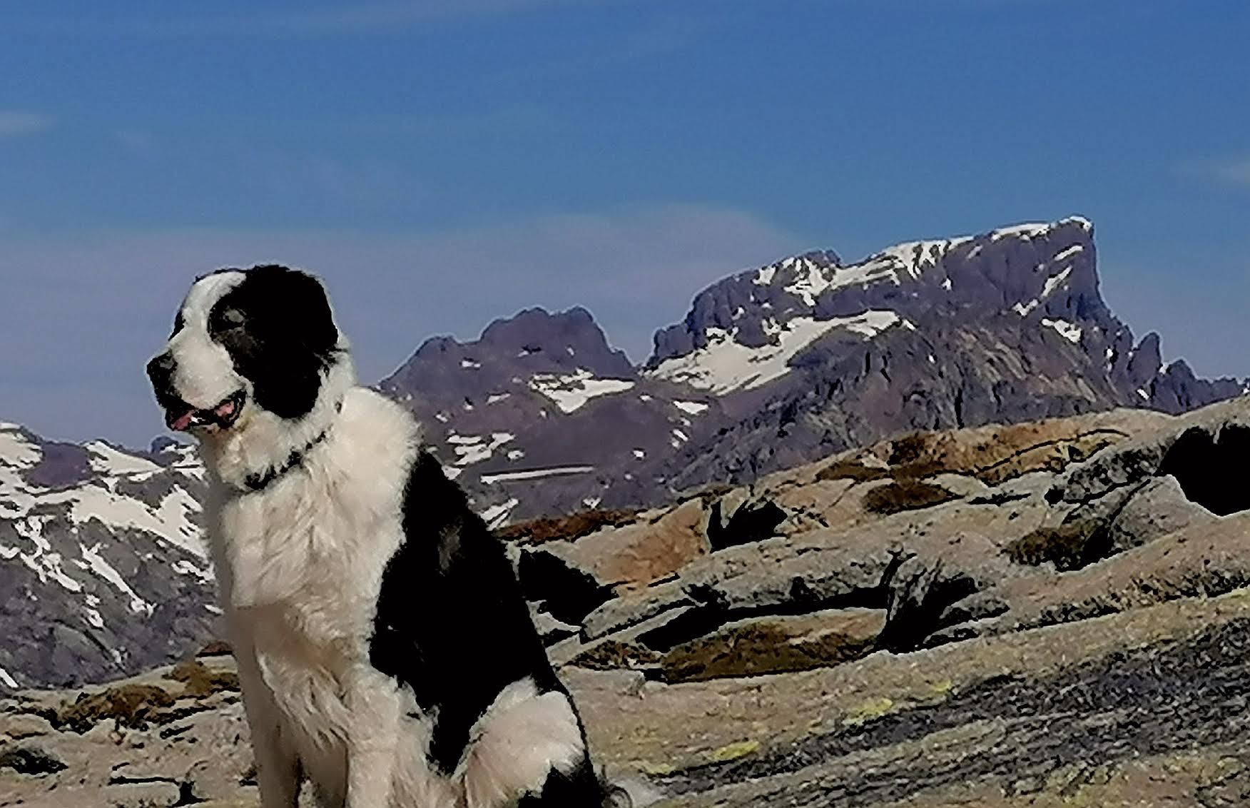 La photo du jour : Jack à Punta Artica