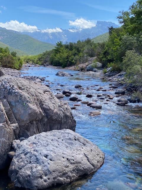 Vallée du Fango. (Florence Guenot)