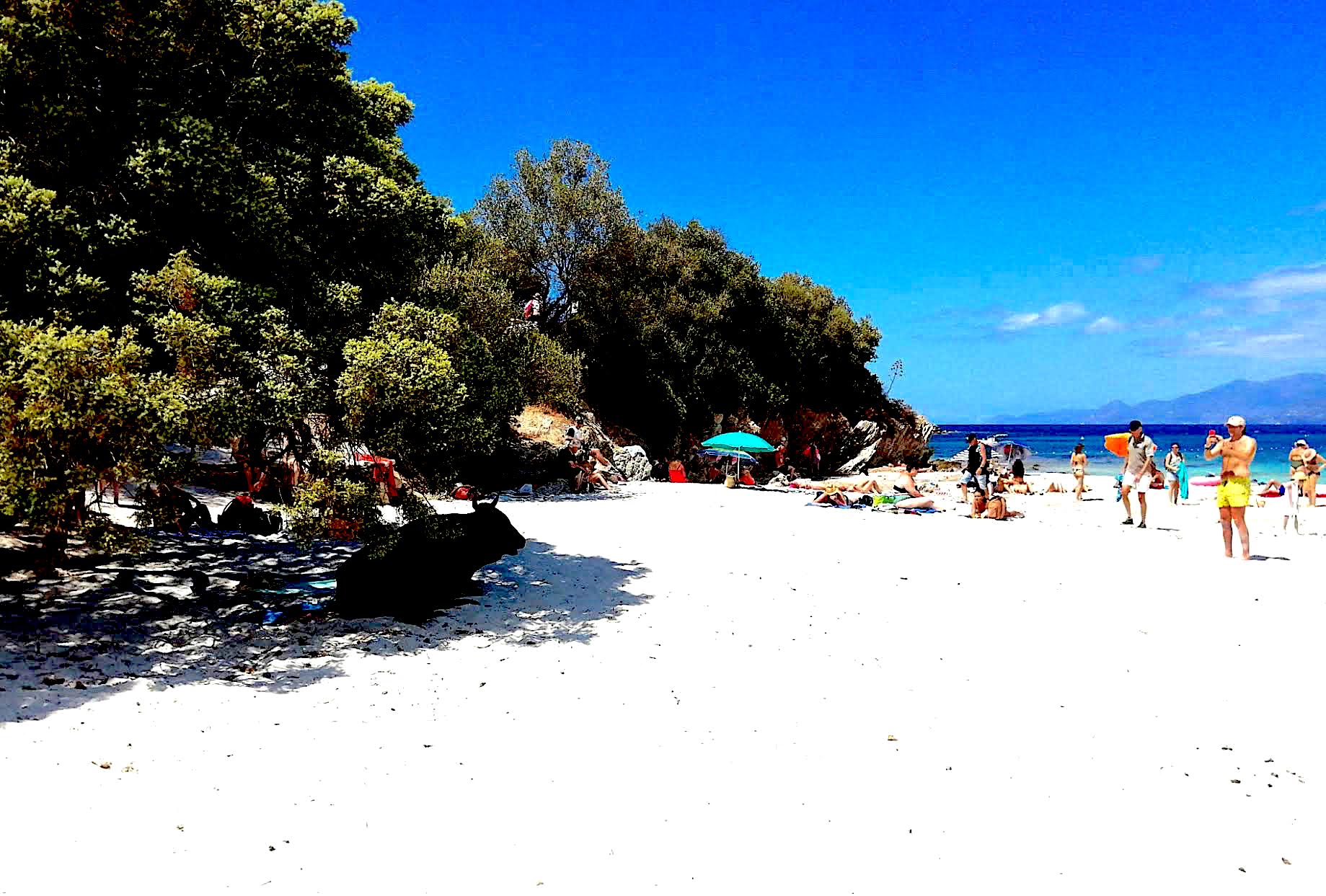 La photo du jour : surveillant de baignade sur la plage du Lotu