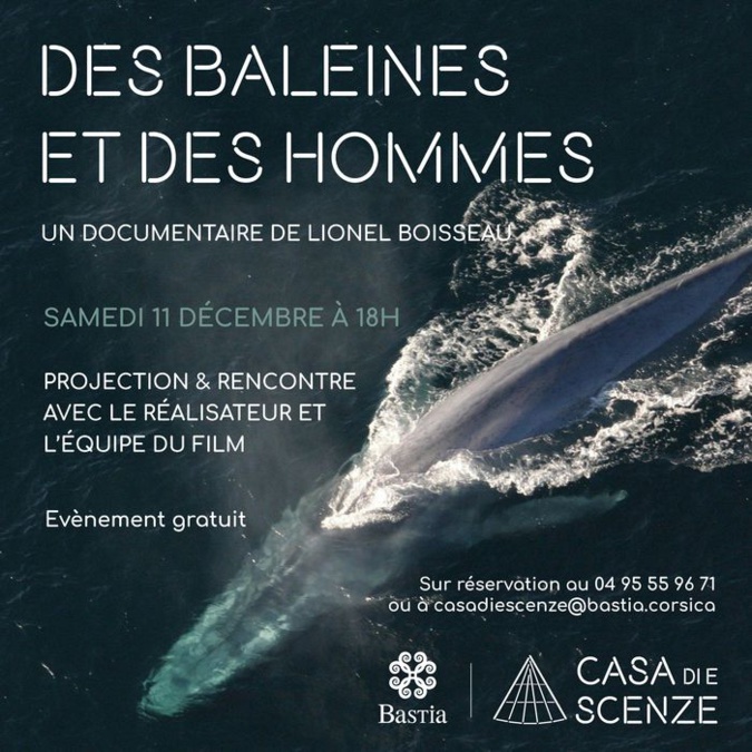 « Des baleines et des hommes en Méditerranée » projeté à la Maison des sciences de Bastia