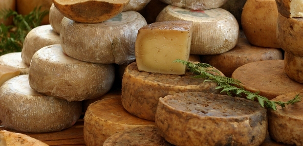 Sartène : 8 000 € de fromages volés au lycée agricole