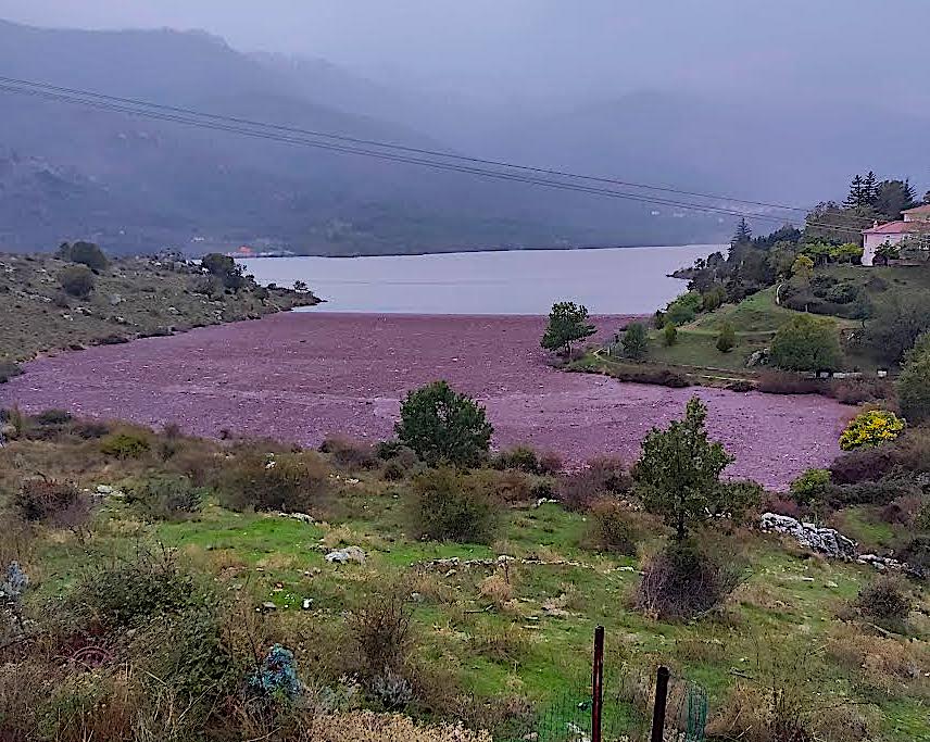 Lac de Calacuccia (Etienne Raffalli)