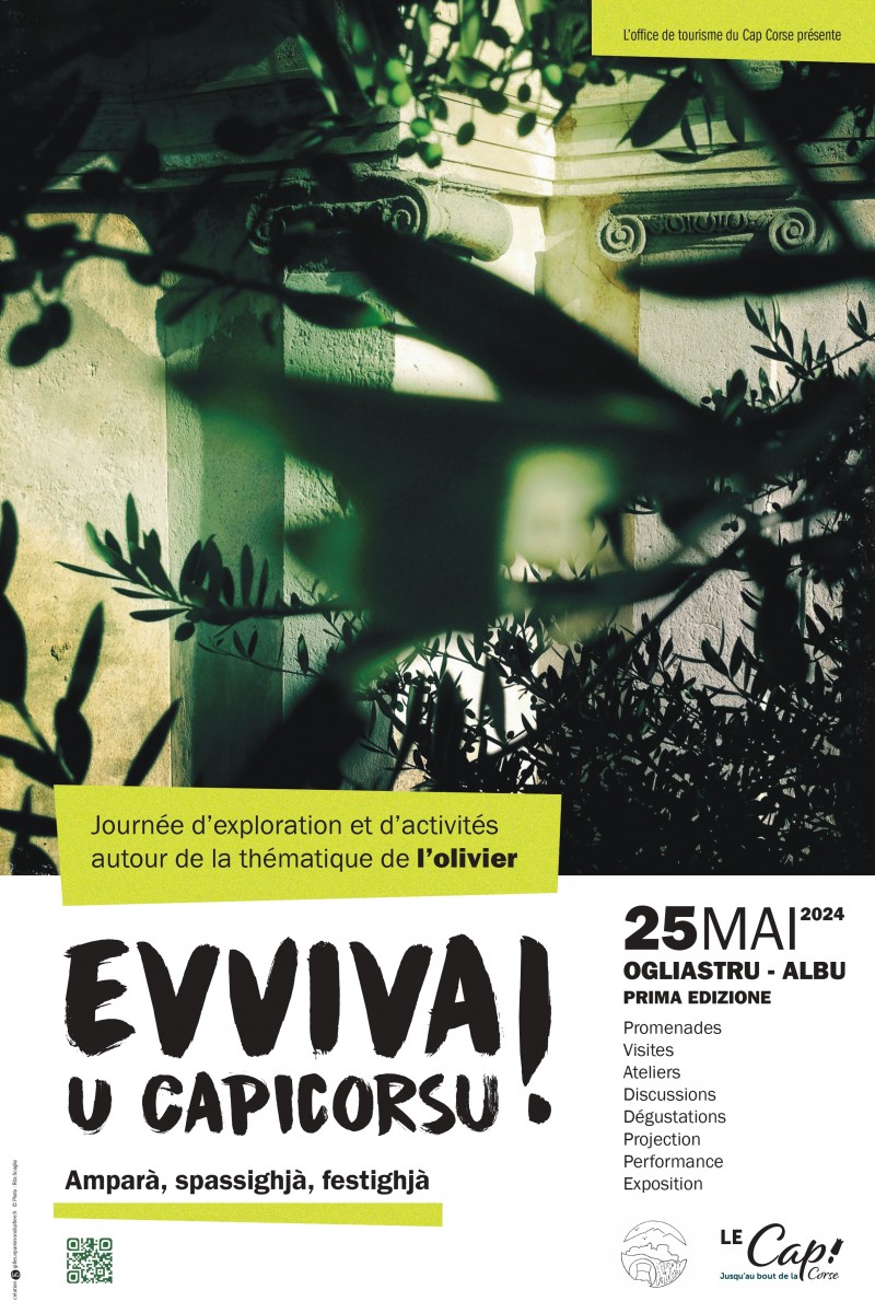 Albu – Ogliastru : 1ère édition de « Evviva U Capicorsu » sur le thème de l’olivier