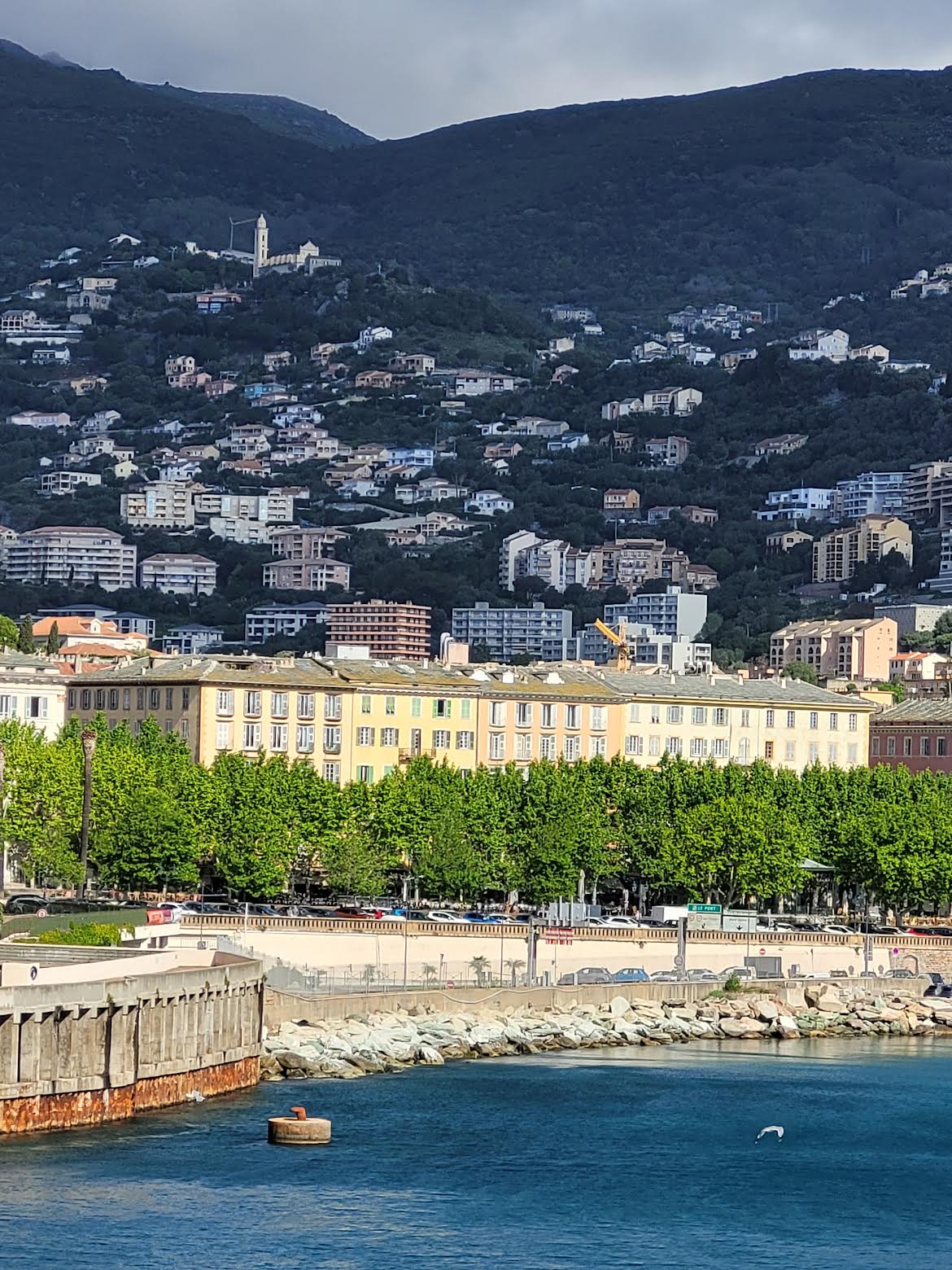 La photo du jour : La place Saint-Nicolas, poumon vert de Bastia