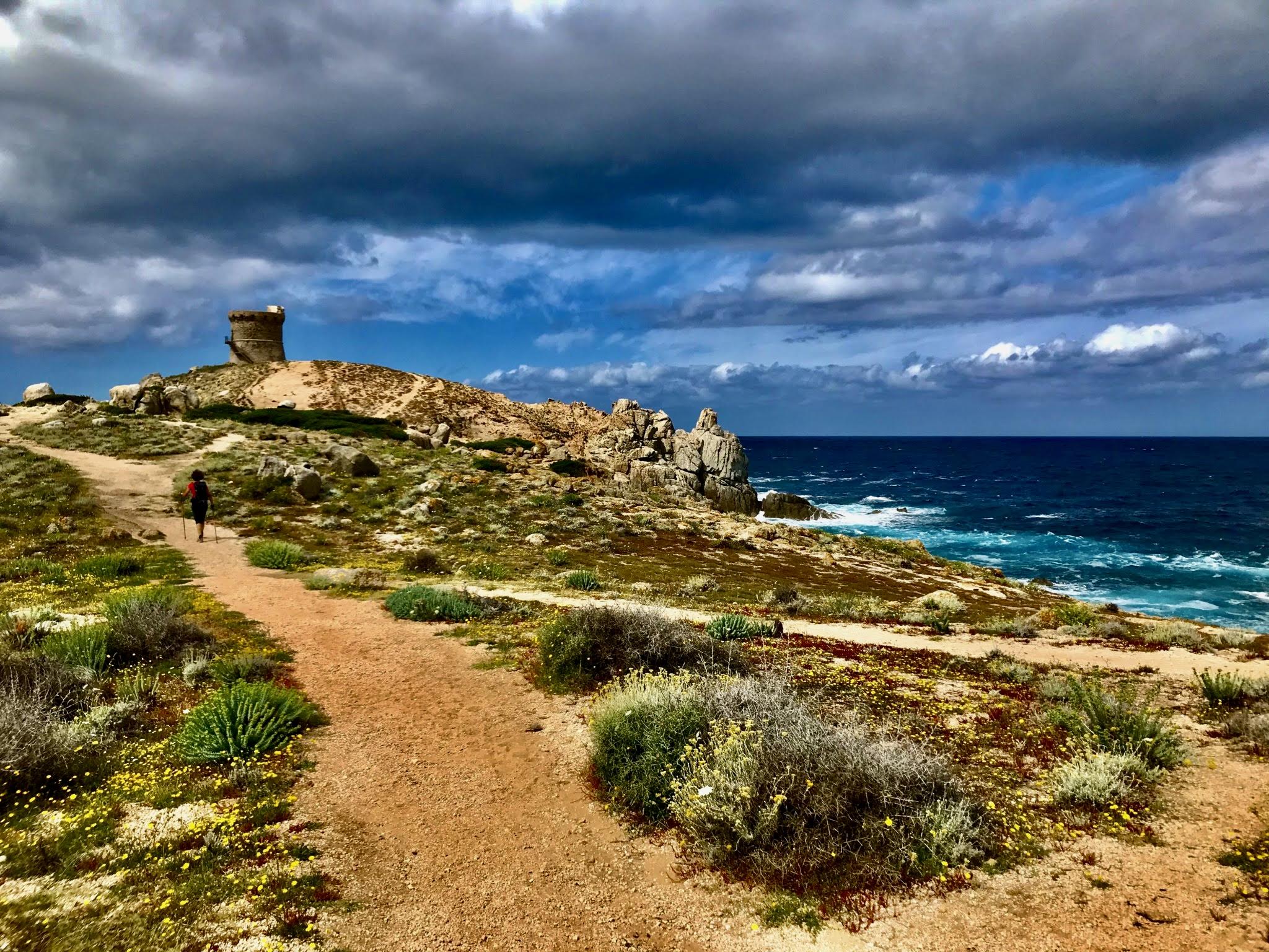 La photo du jour : Tour d’Omigna à Carghjese