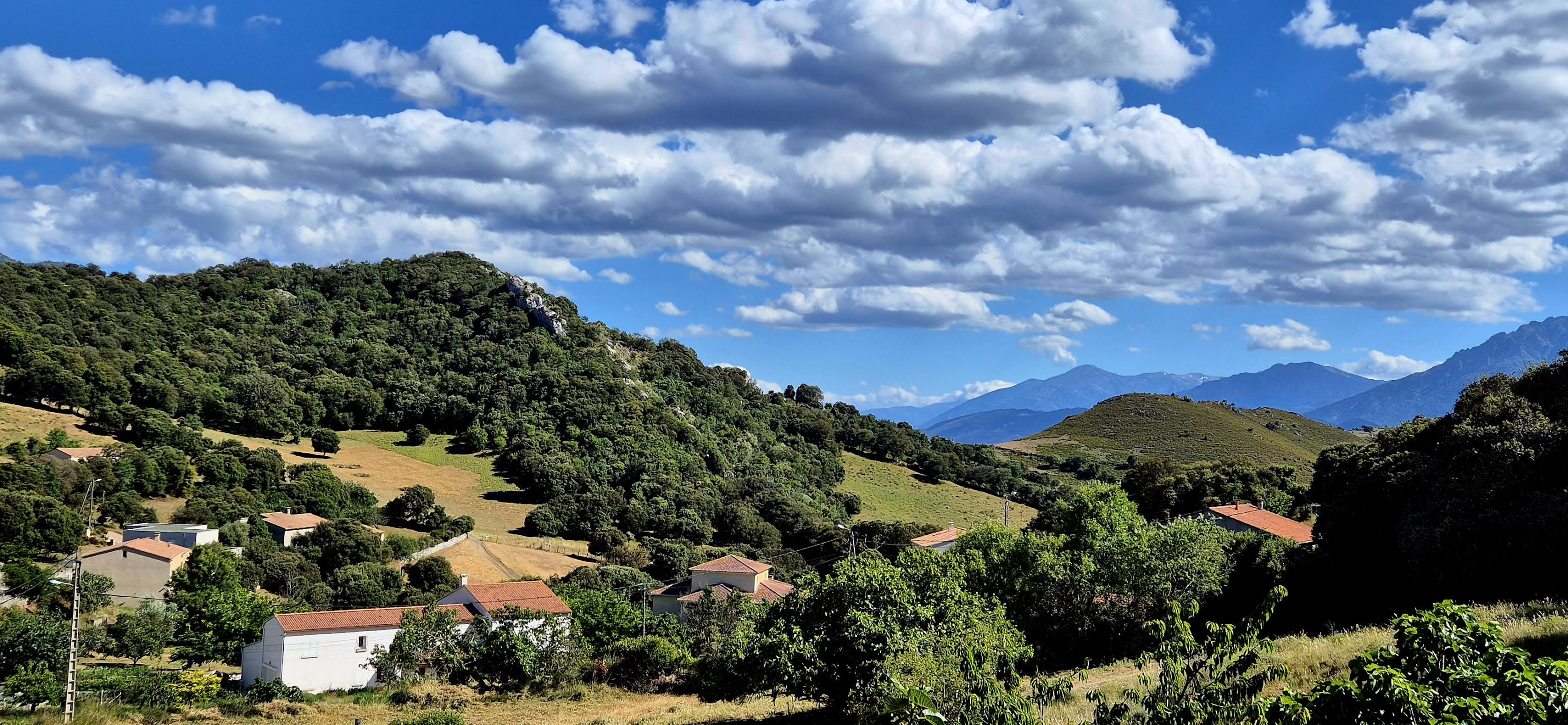 U Pedanu, paisolu di Petralba (Françoise Geronimi)