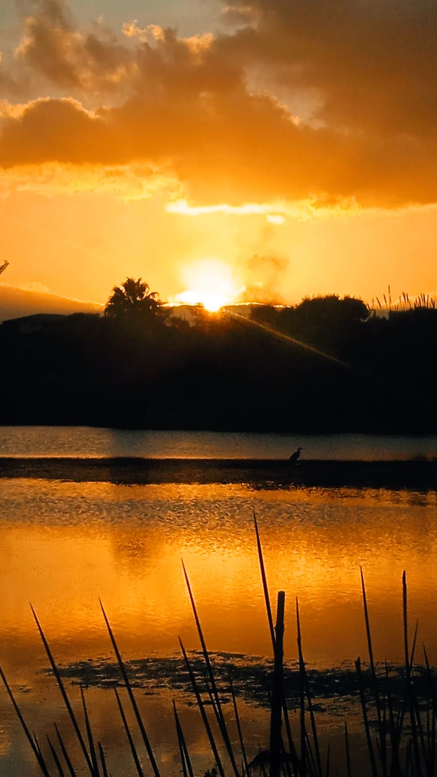 Coucher de soleil sur les marais salants (Myriame Lesenne)