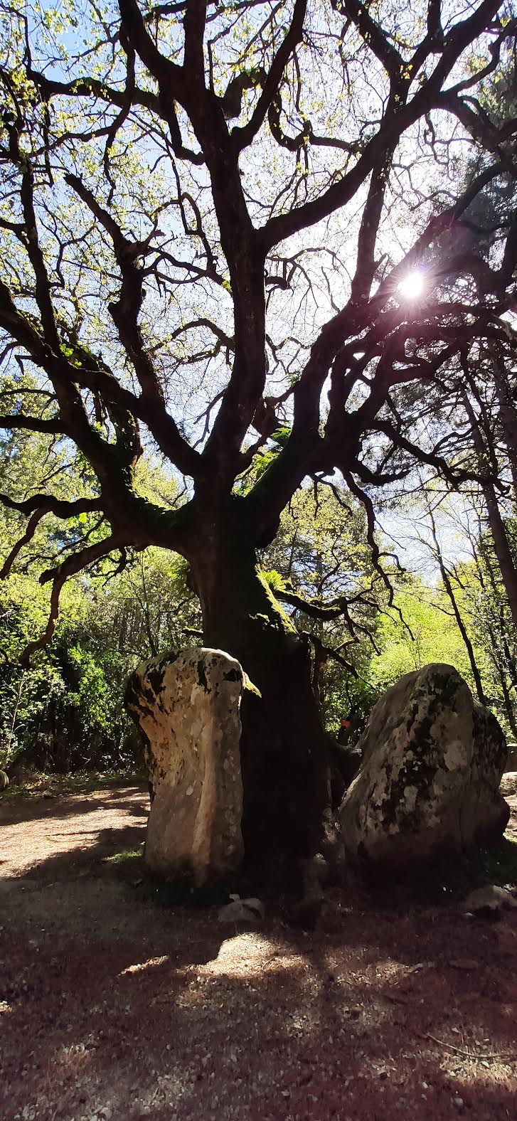 La photo du jour : la force de la nature