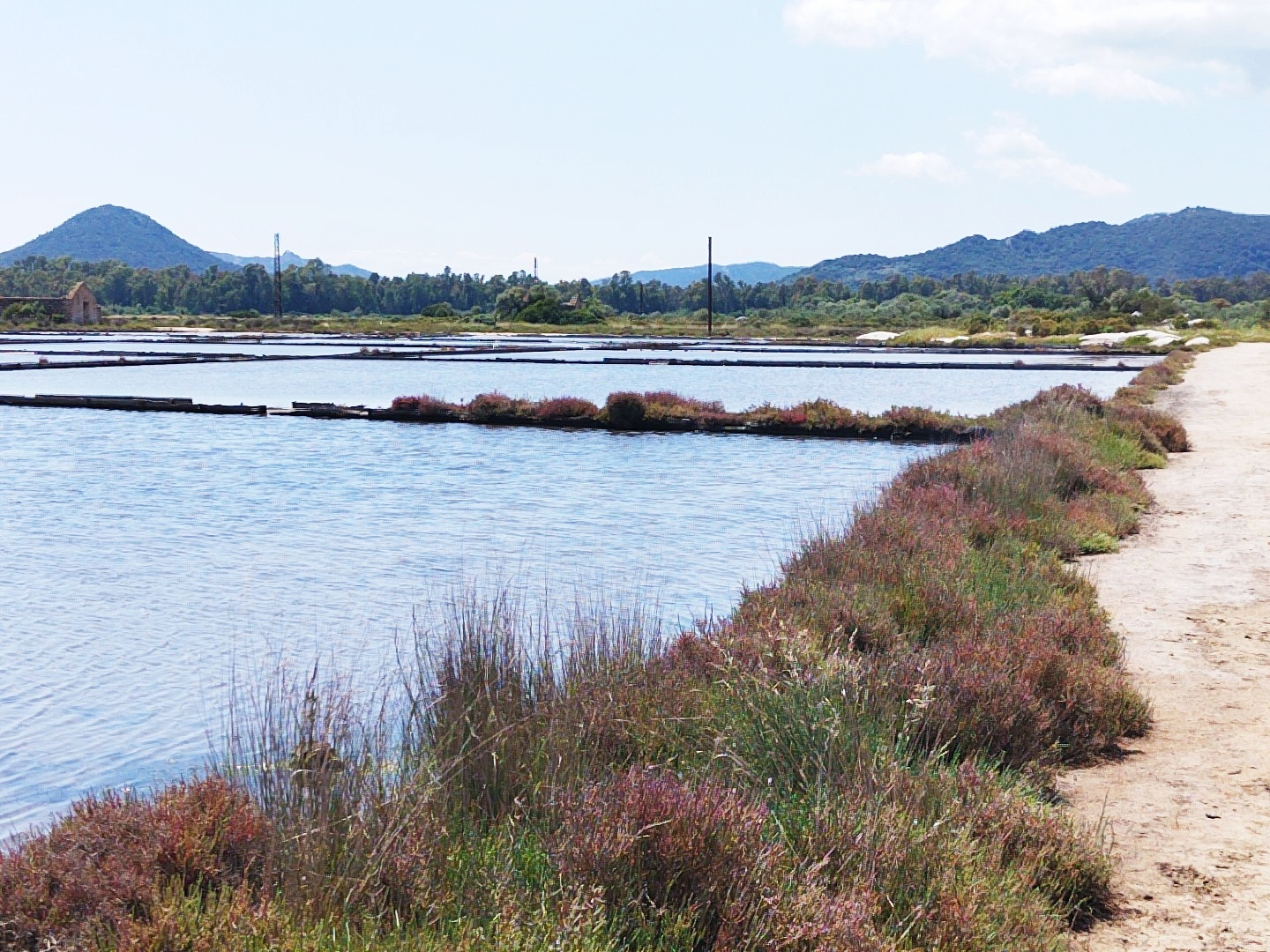 Les marais salants ne sont plus exploités depuis vingt-quatre ans.