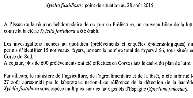 Xylella Fastidiosa : 56 foyers récensés en un mois...