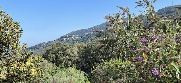 La météo du jour en Corse