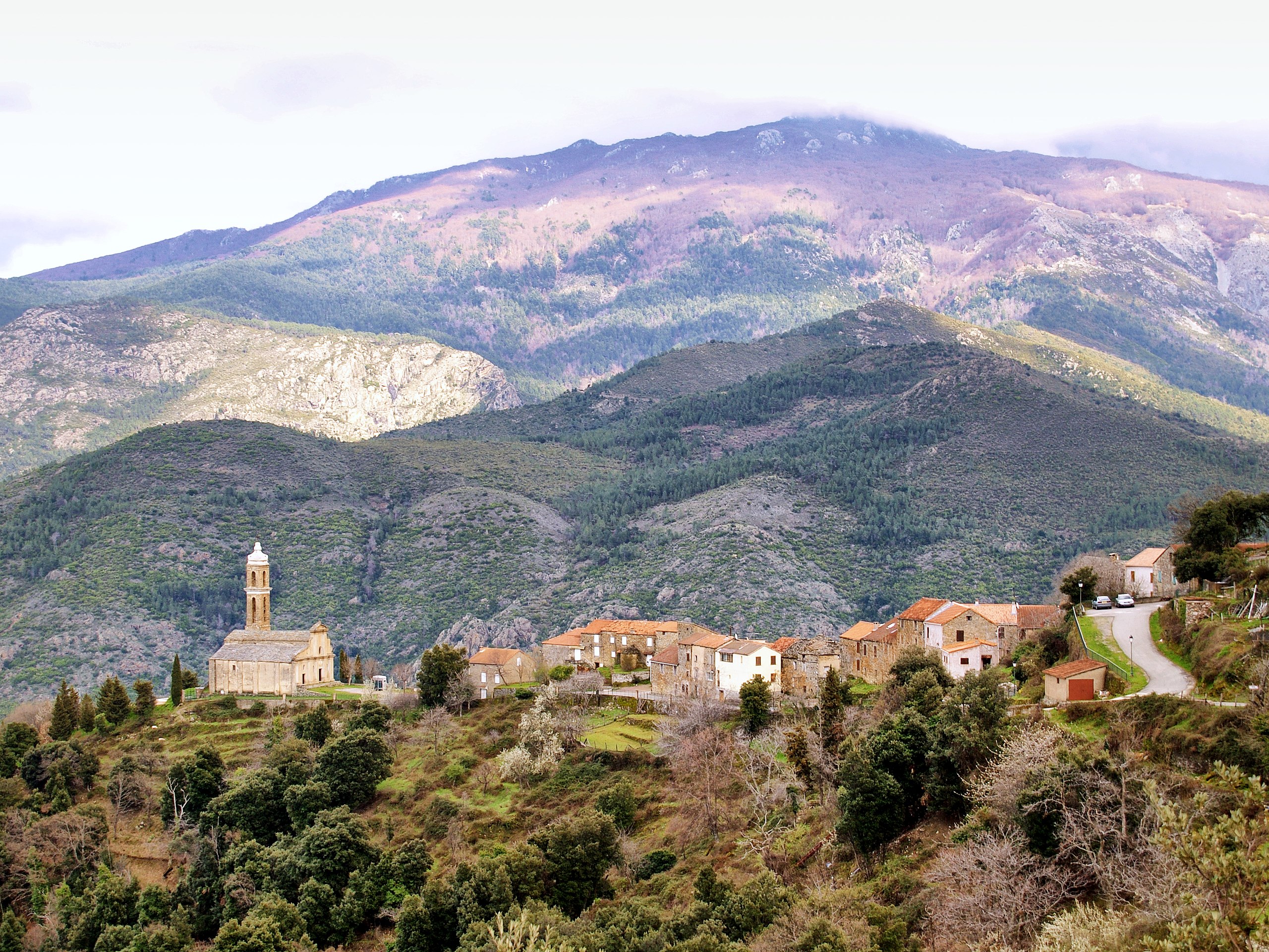 San Lurenzu : une journée de foi et de tradition au cœur de Vallerustie