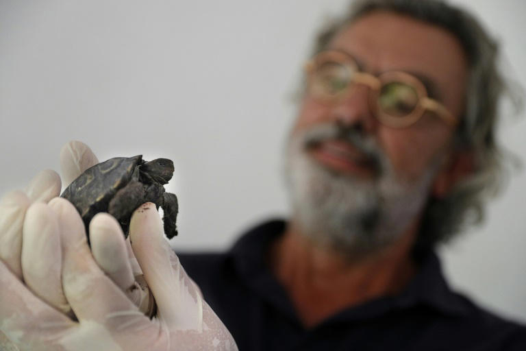 Crédit photo  PASCAL POCHARD-CASABIANCA / AFP