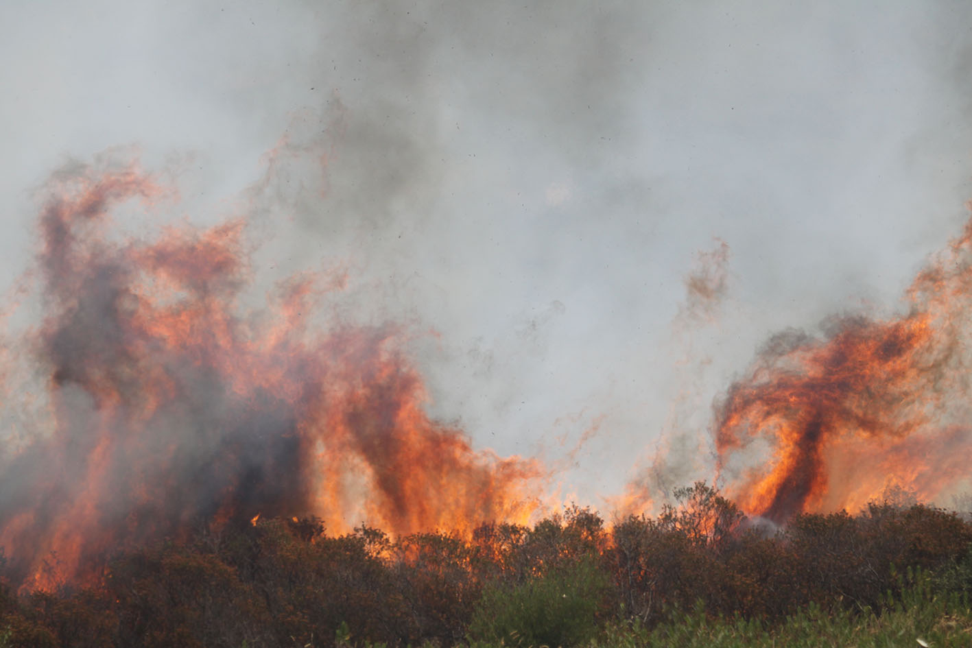 Incendie accidentel à Montemaggiore