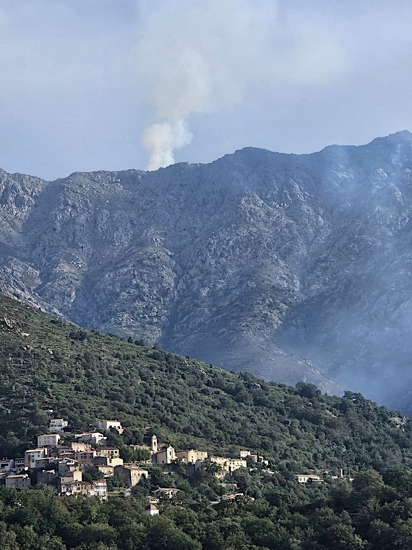 Le feu vient de se déclarer sur les hauteurs