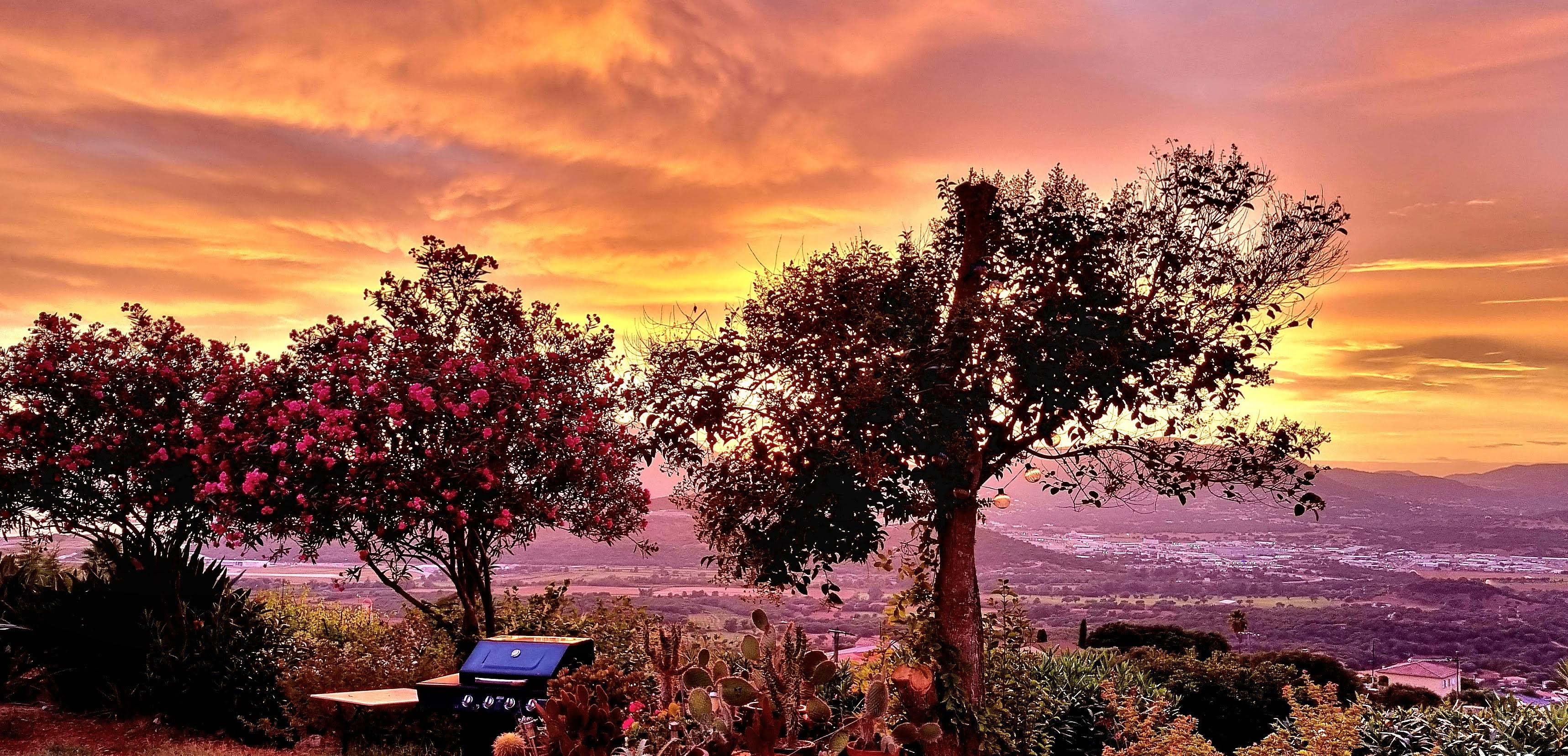 La photo du jour : les mille et une couleurs délicates de Sarrola-Carcopino