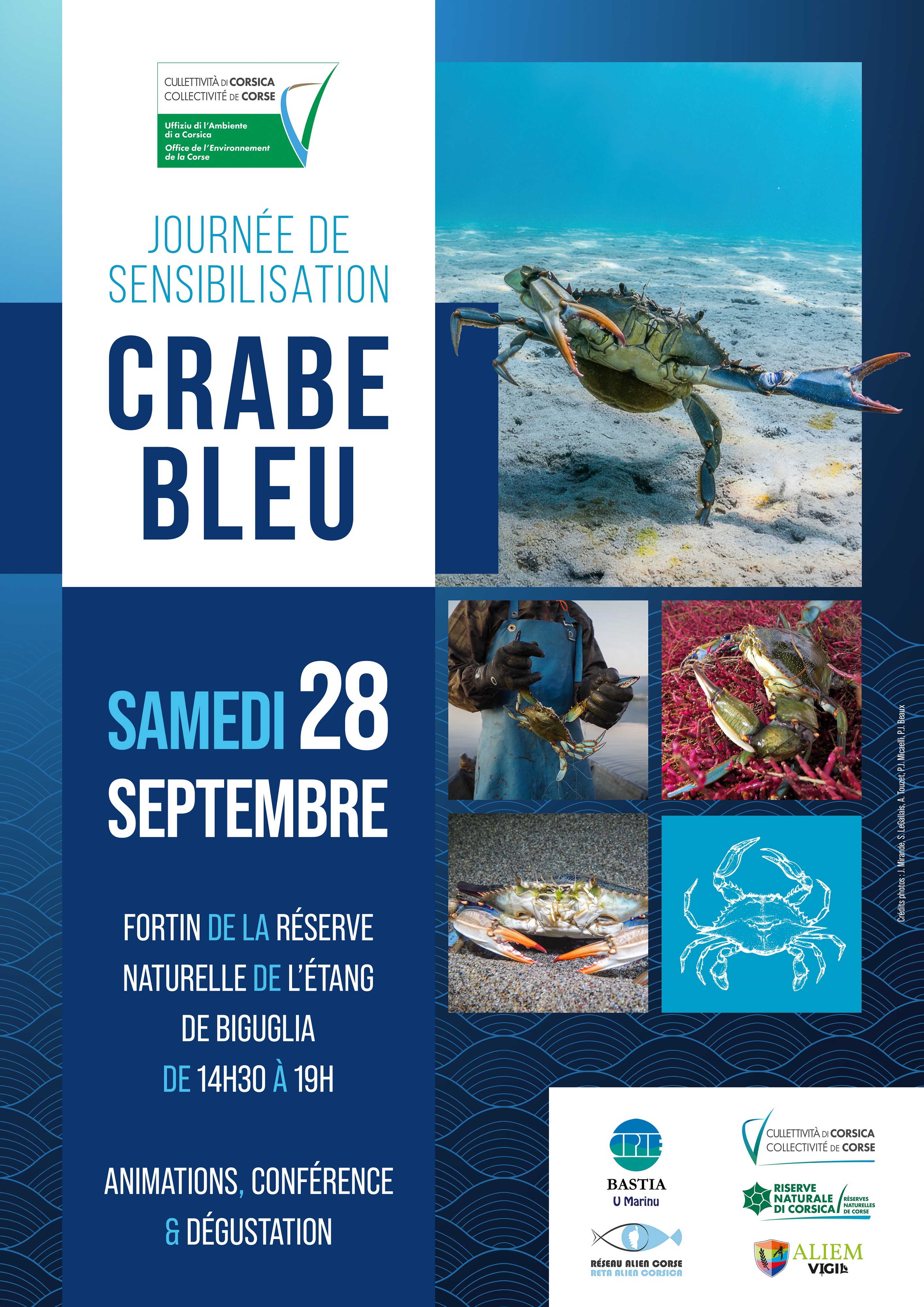 Biguglia : Une journée pour apprendre à mieux connaître et gérer le crabe bleu