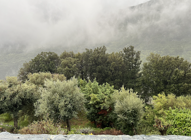 La météo du jour en Corse