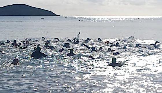 Extrême Sud Cross Triathlon : Léo Marichard (CTCA) souffle les dix bougies à Saint-Cyprien