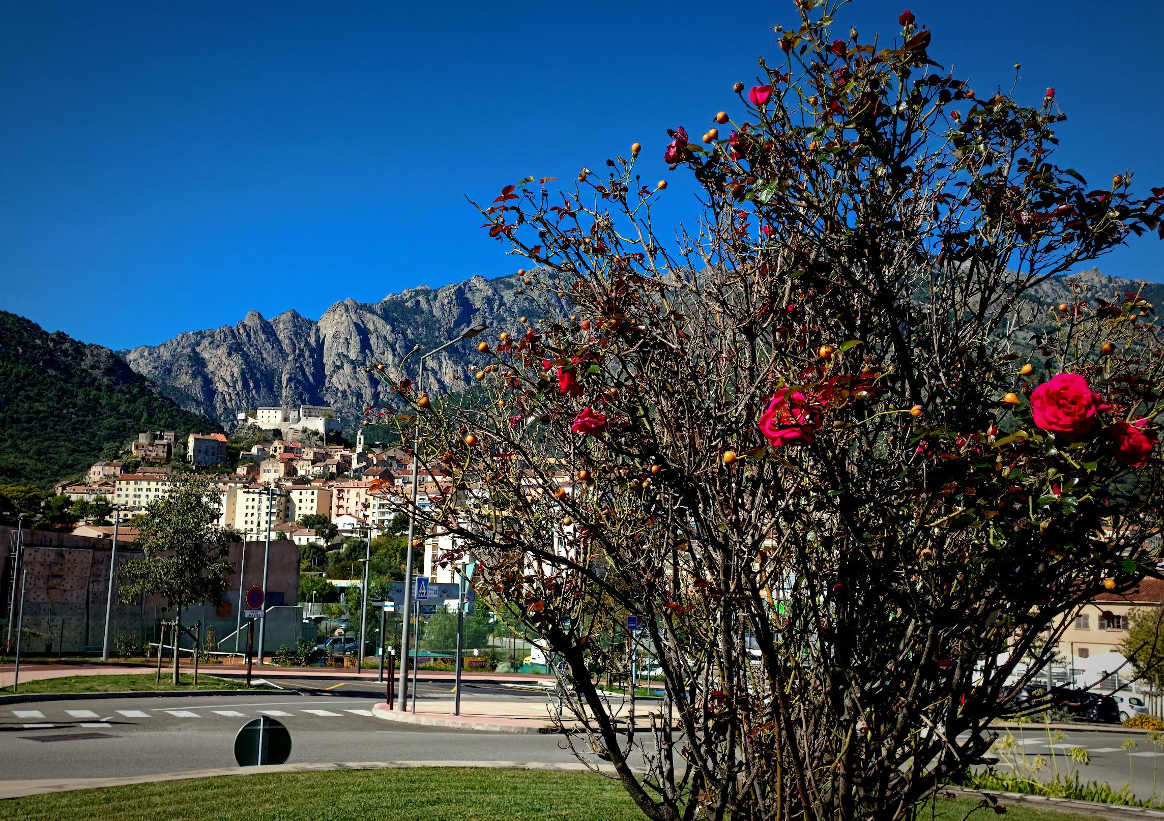 La photo du jour : a bella cità di Corti 