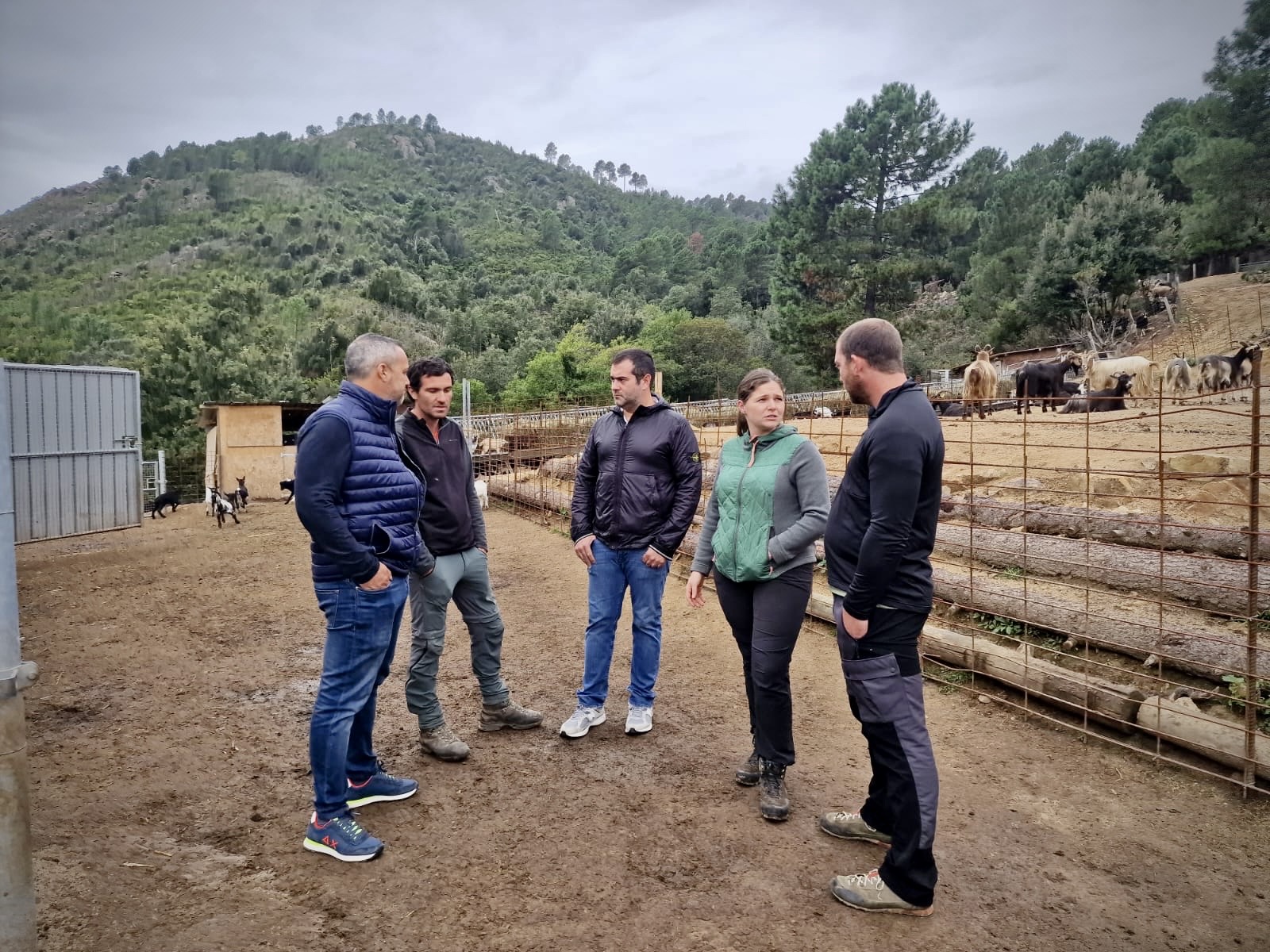 La Coordination rurale Corsica et les Jeunes agriculteurs de Corse à Tavera - Dimanche 20 octobre 2024.