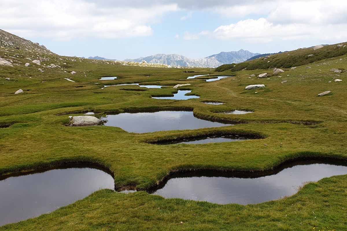 Crédit photo : Parc naturel régional Corse