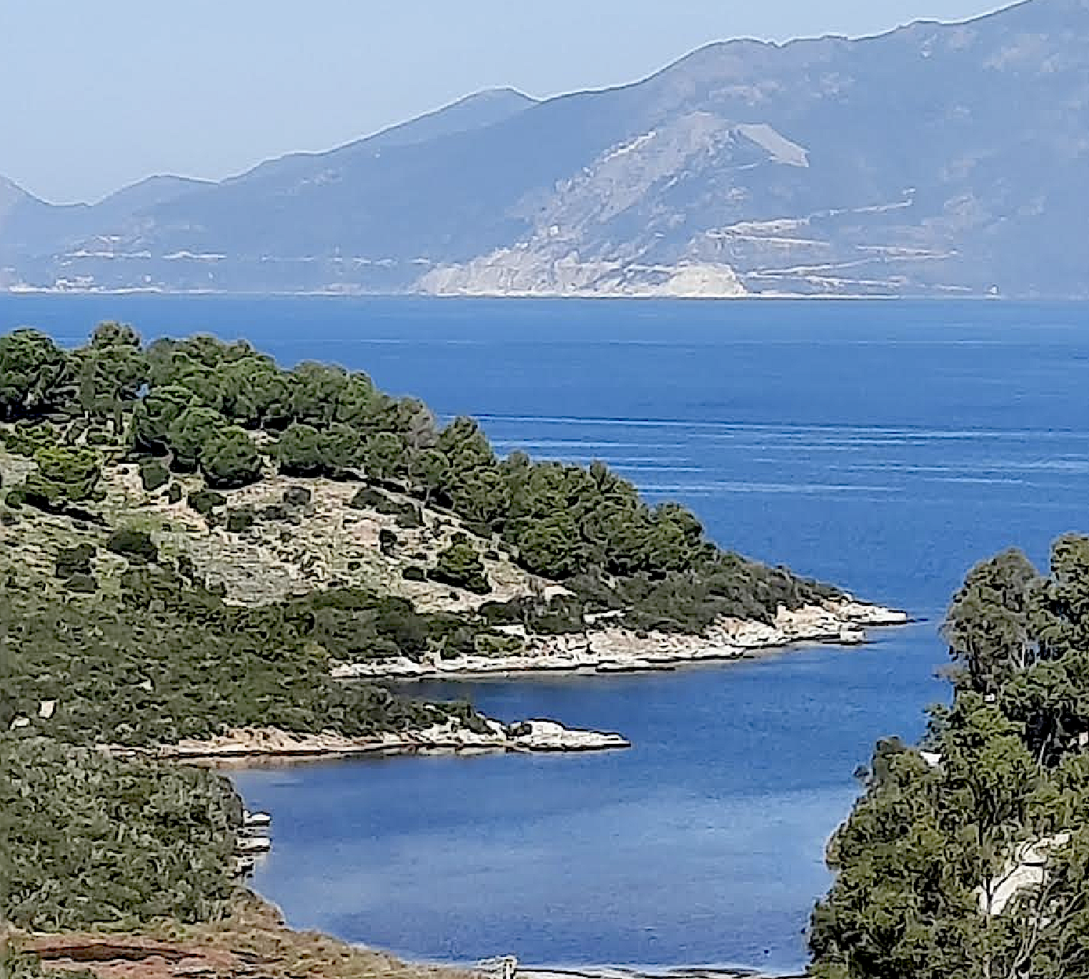 Anse de Fornali (Annick Medori)