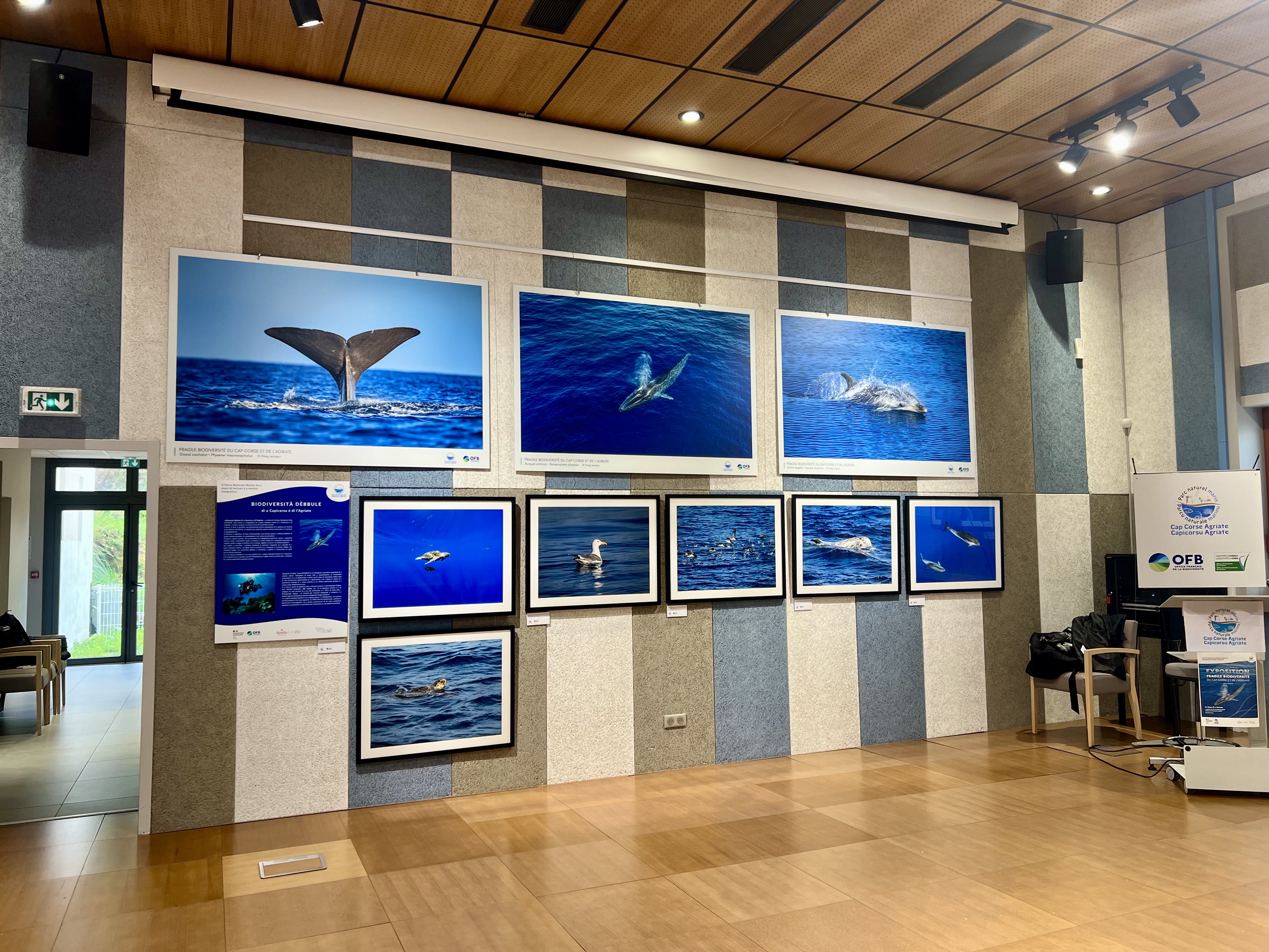 L'exposition Fragile biodiversité du Cap Corse et de l'Agriate, créée par le photographe-artiste Greg Lecoeur à la Casa di e Scenze - Vendredi 8 novembre 2024.