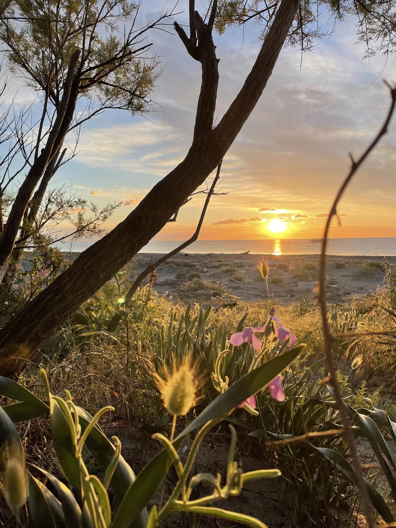 La photo du jour : lever de soleil sur Mucchiatana