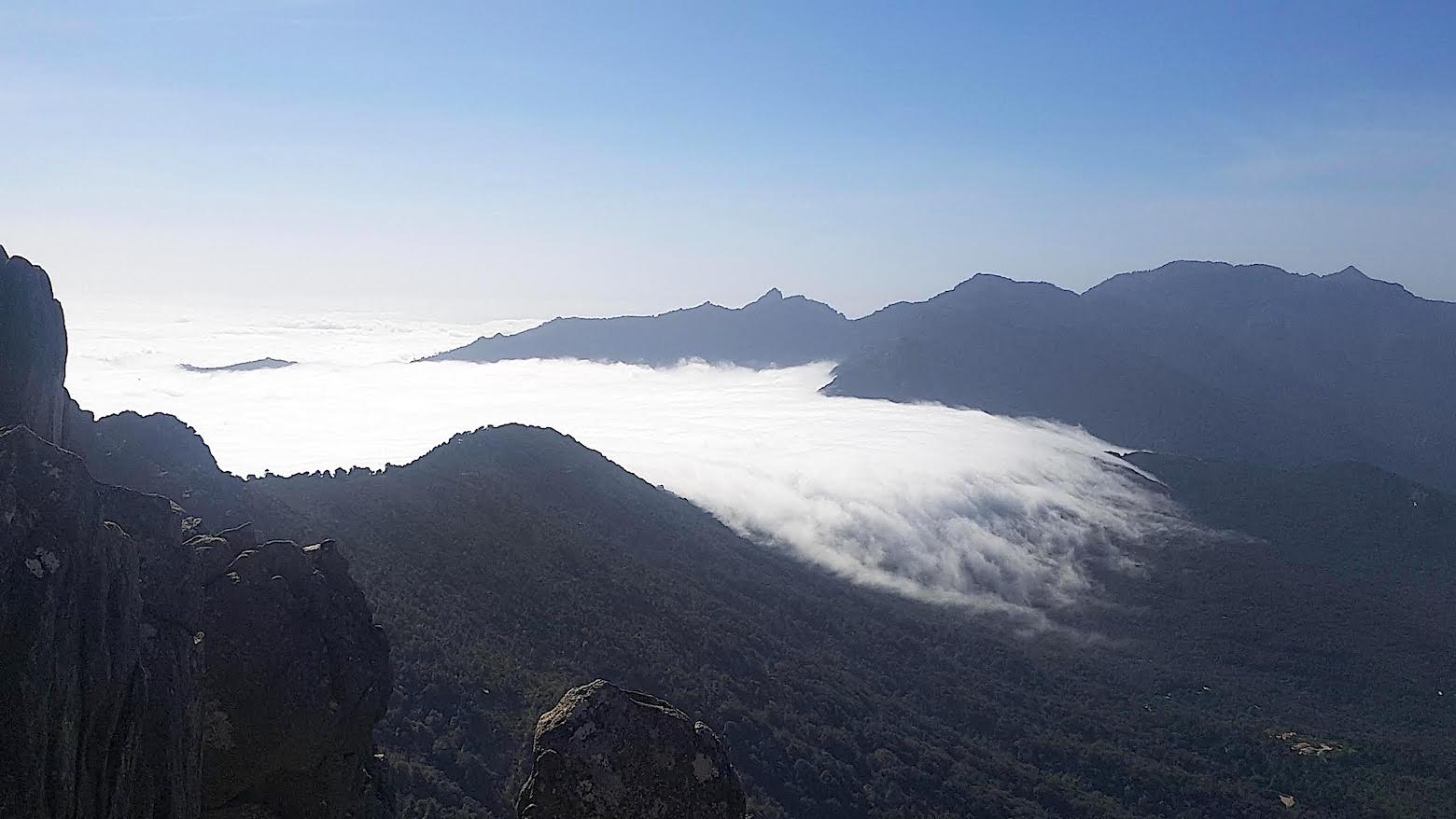 Au-dessus des nuages de l'Alta Rocca (Photo Thierry Henry)