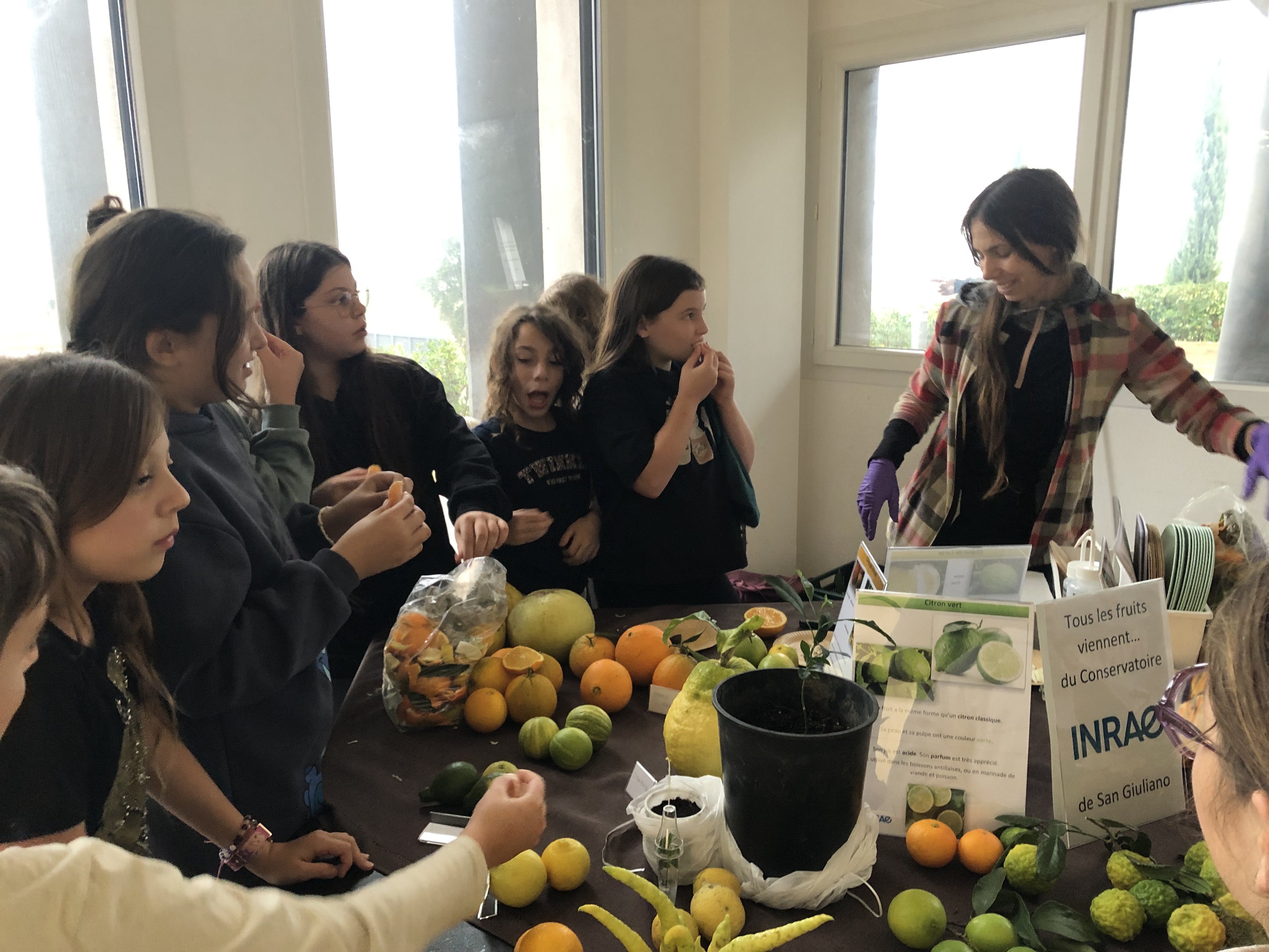 U Viscuvatu : le Salon de l’agriculture corse ouvre ses portes pour une nouvelle édition