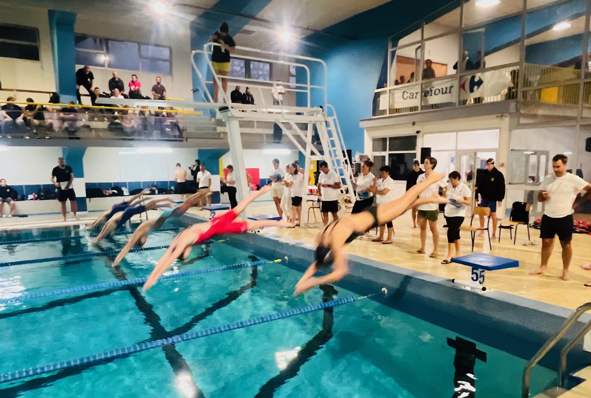 Championnats de Corse de natation : 21 records battus à Ajaccio, un exploit historique