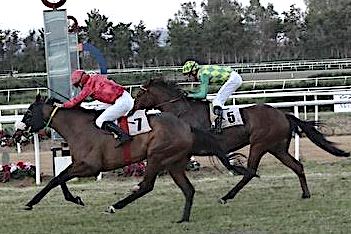 Équitation - Alexandre Lastrajoli deuxième du championnat méditerranéen