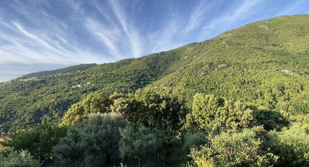 La météo du jour en Corse