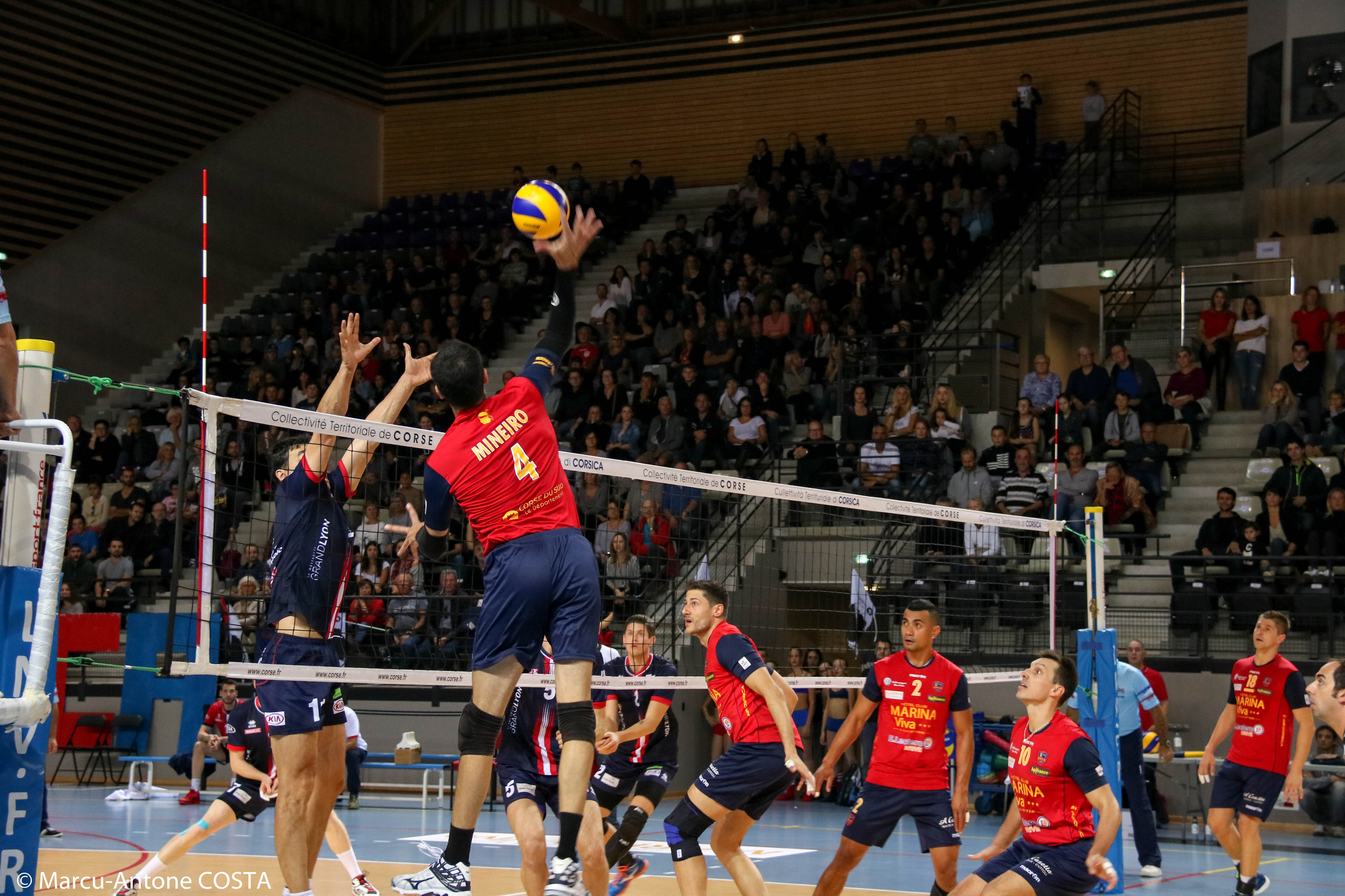 Volley-Ball : Les ajacciens à Toulouse pour confirmer