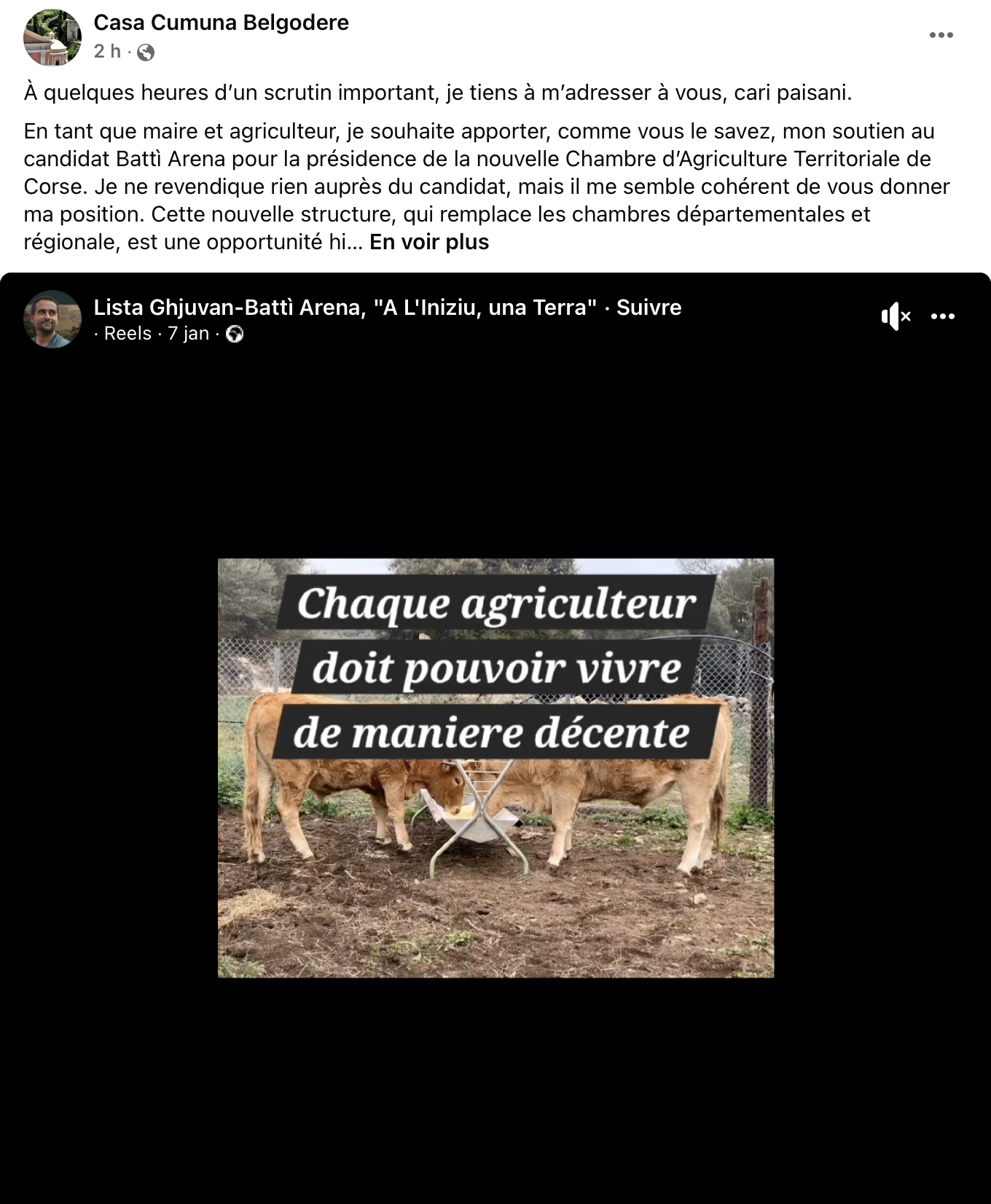 Élections à la chambre d'agriculture : Lionel Mortini soutient Batti Arena et fustige le bilan de Joseph Colombani