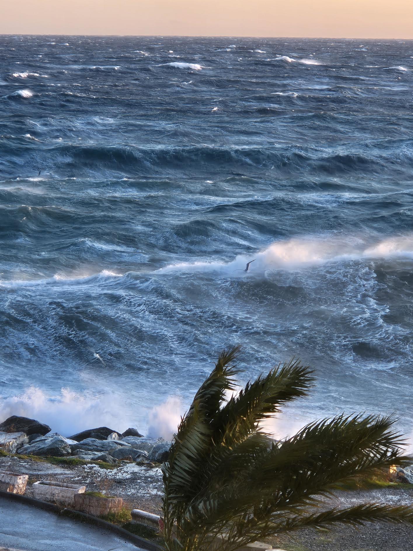 Mauvais temps d'est sur Bastia (René Raffalli)