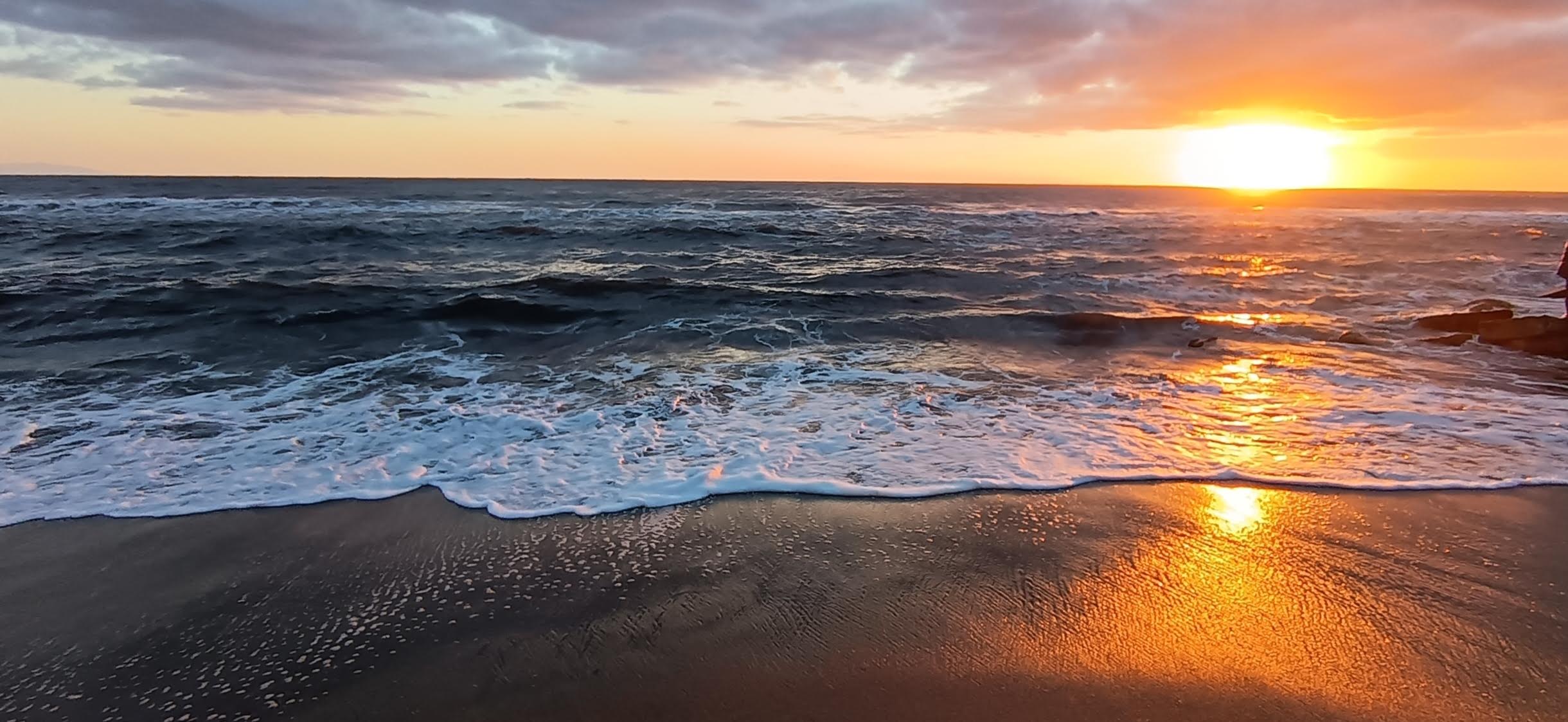 La photo du jour : balade en bord de mer