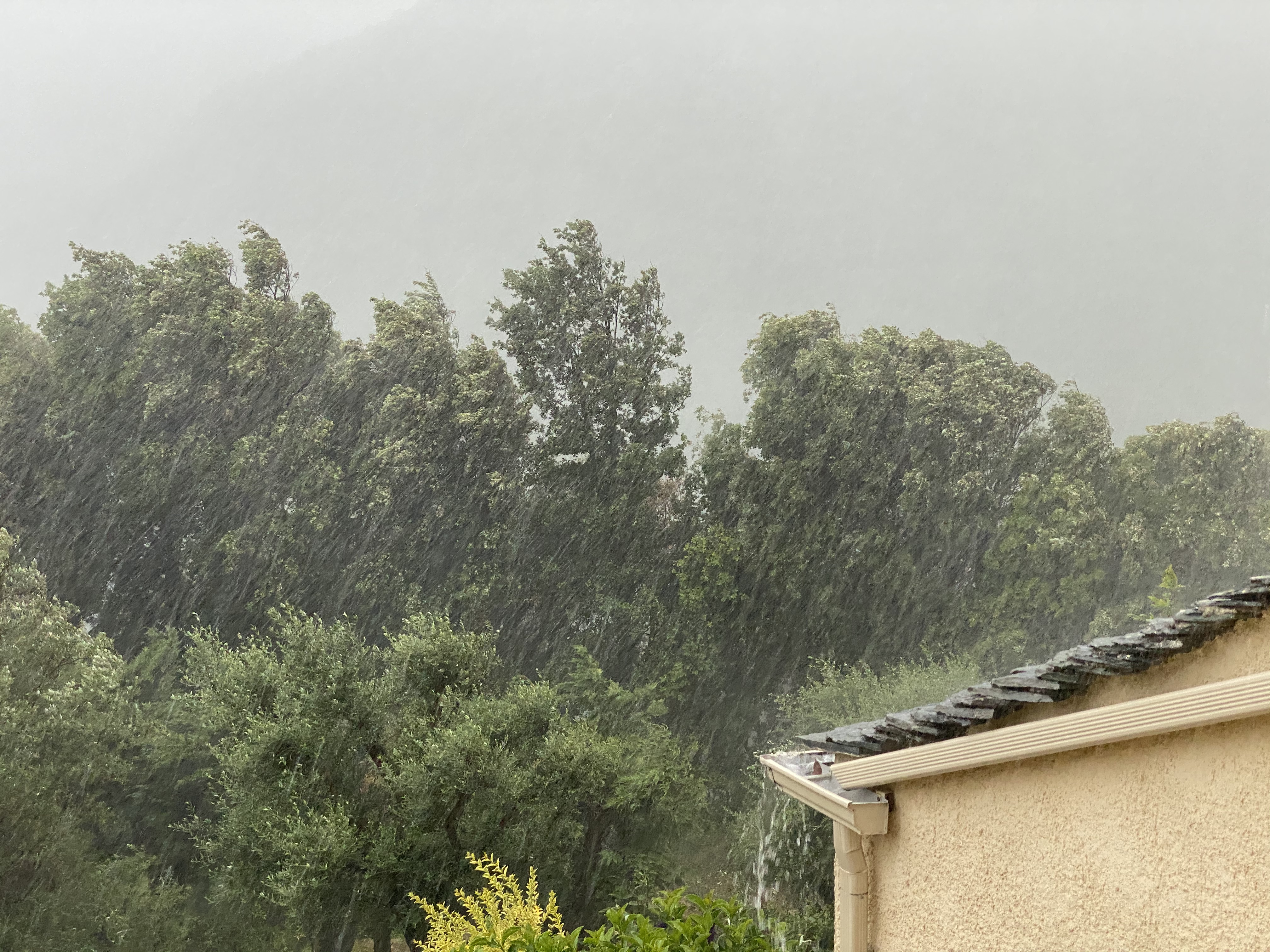 Corse : la dépression Gabri moins forte que prévue, selon Météo-France