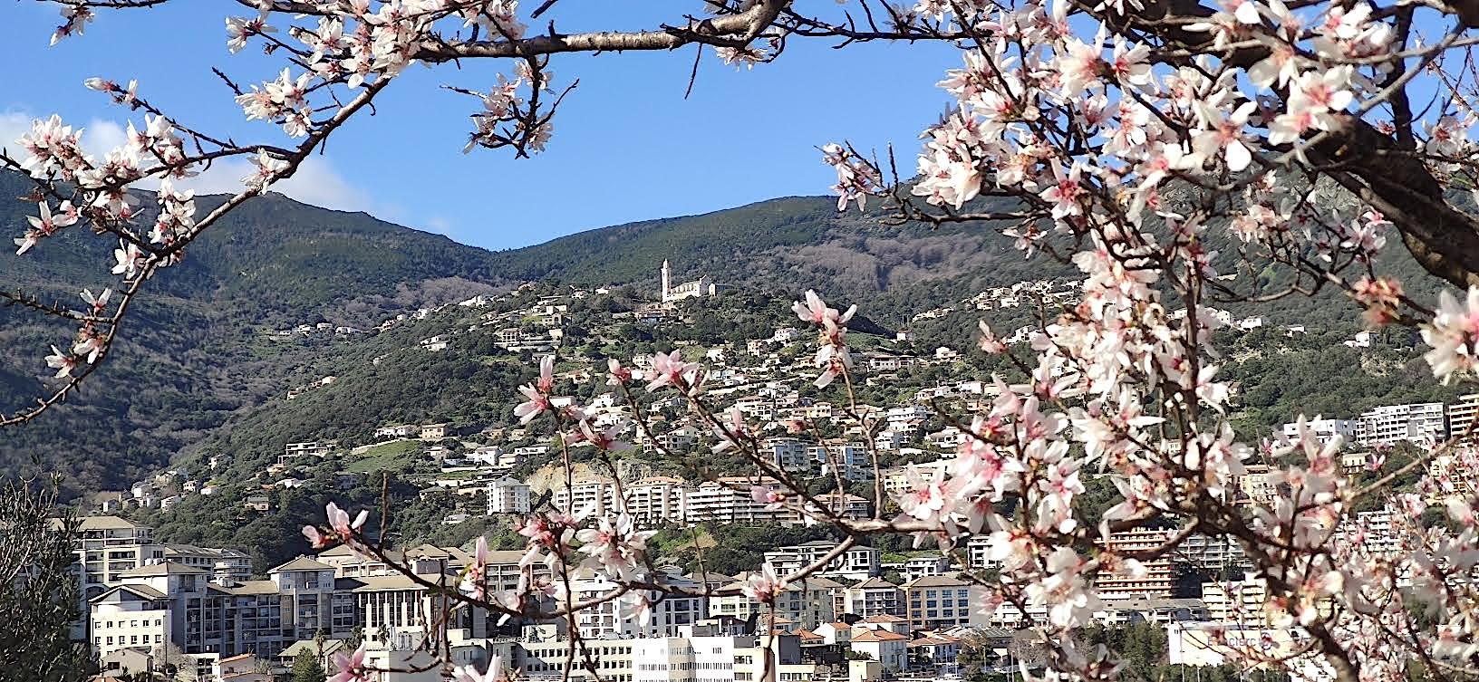 La photo du jour : Santa Lucia di e Ville di Petrabugnu