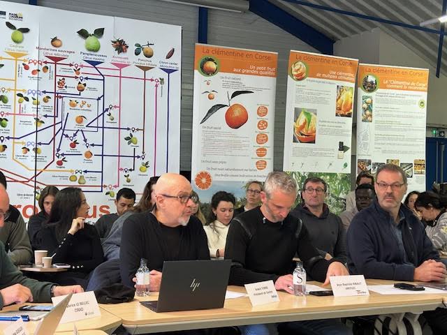 En Corse, un séminaire sur le biocontrôle pour une agriculture plus durable