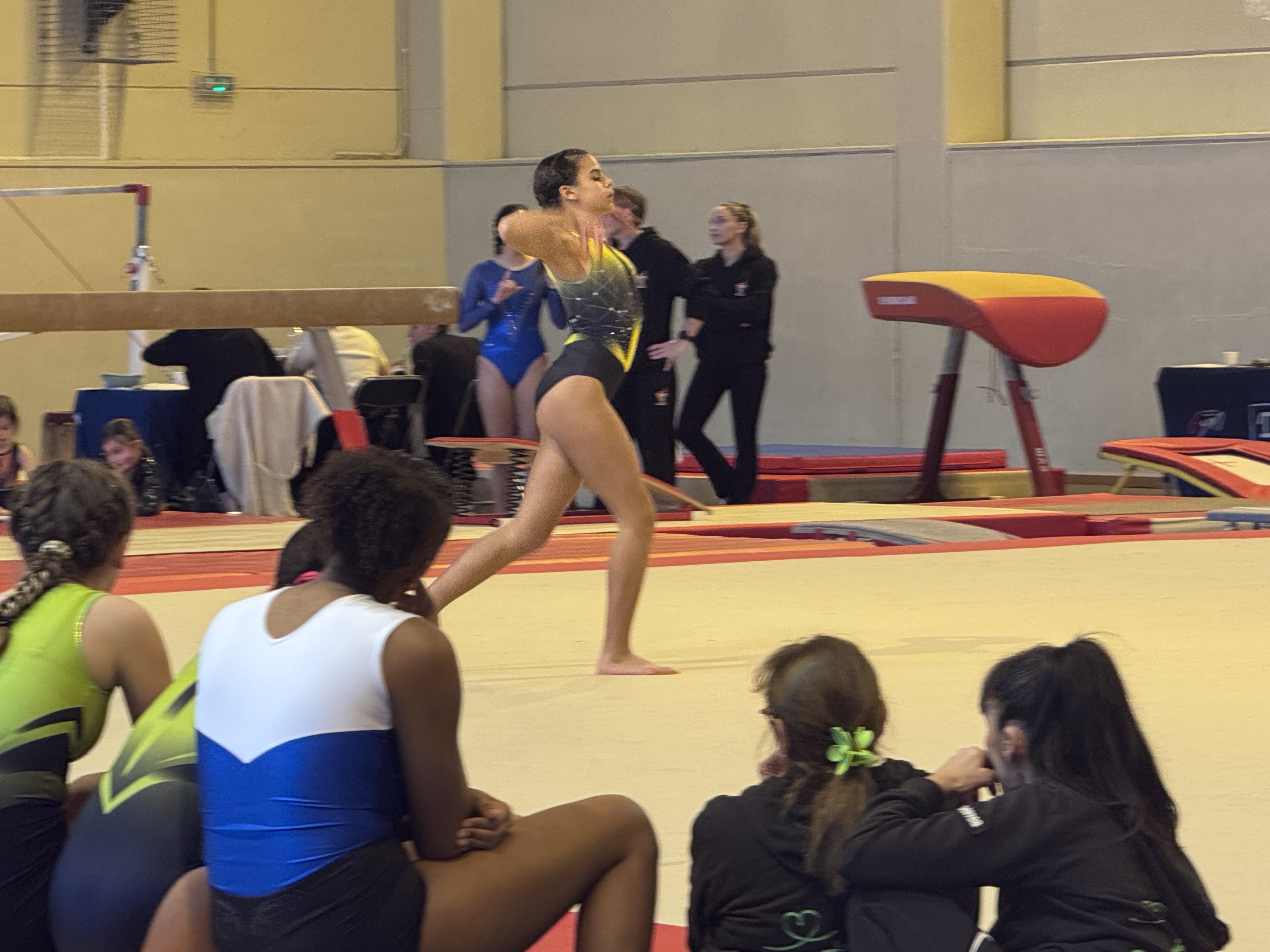 Calvi à l'heure des championnats de Corse de gymnastique