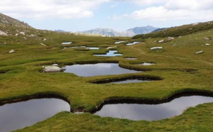 Loto de la biodiversité : un projet retenu en Corse