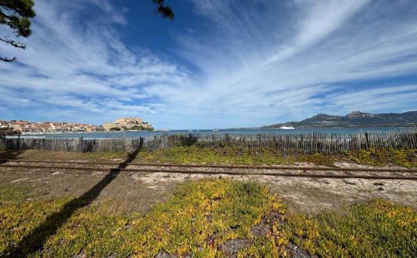 « Tout pointe vers la citadelle de Calvi (Keith Dobbs)