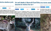 La biche abattue dans le Centre-Corse : Déjà le quatrième acte…