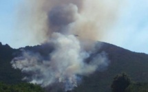 Un incendie détruit près de 12 hectares à Tattone