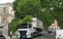 Bastia : Le poids lourd coincé sous les platanes