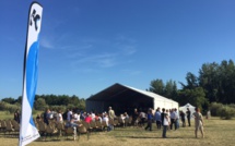 Furiani  : La musique a fêté la nature au parc de Fornacina 