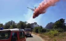 Bastelicaccia : Cinq hectares détruits par un incendie